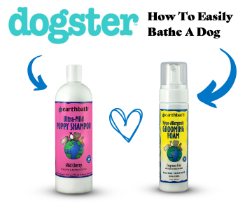 Dogster How to Easily Bathe a Dog - earthbath Puppy Shampoo and Hypoallergenic Grooming Foam