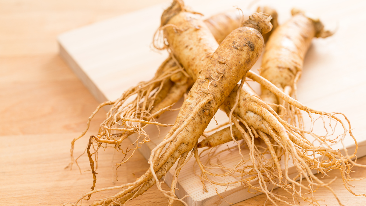 Ginseng Extract