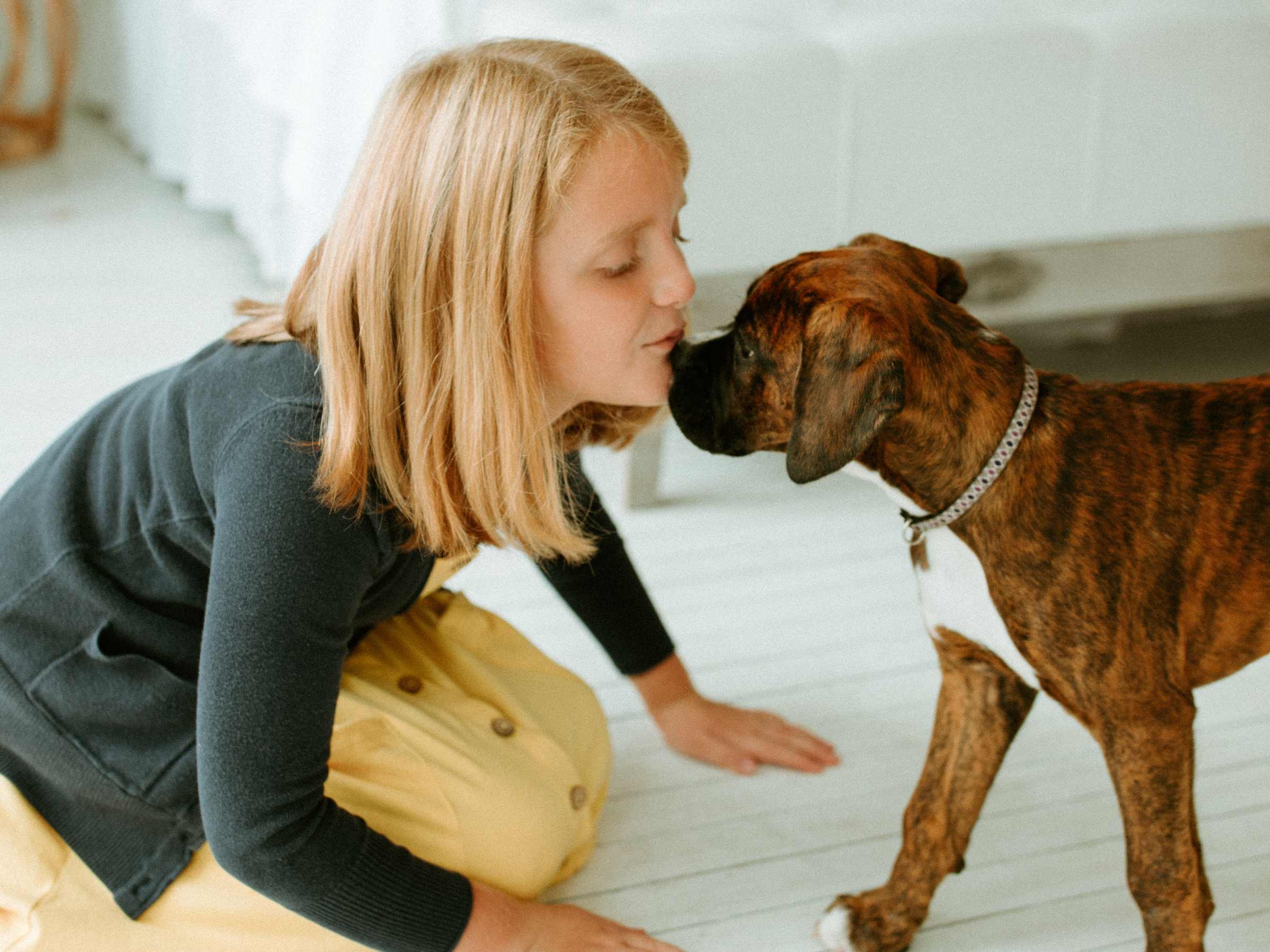 girl giving boxer puppy kisses