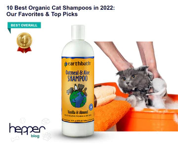 Hepper Blog : Best Organic Cat Shampoos : Oatmeal & Aloe Shampoo