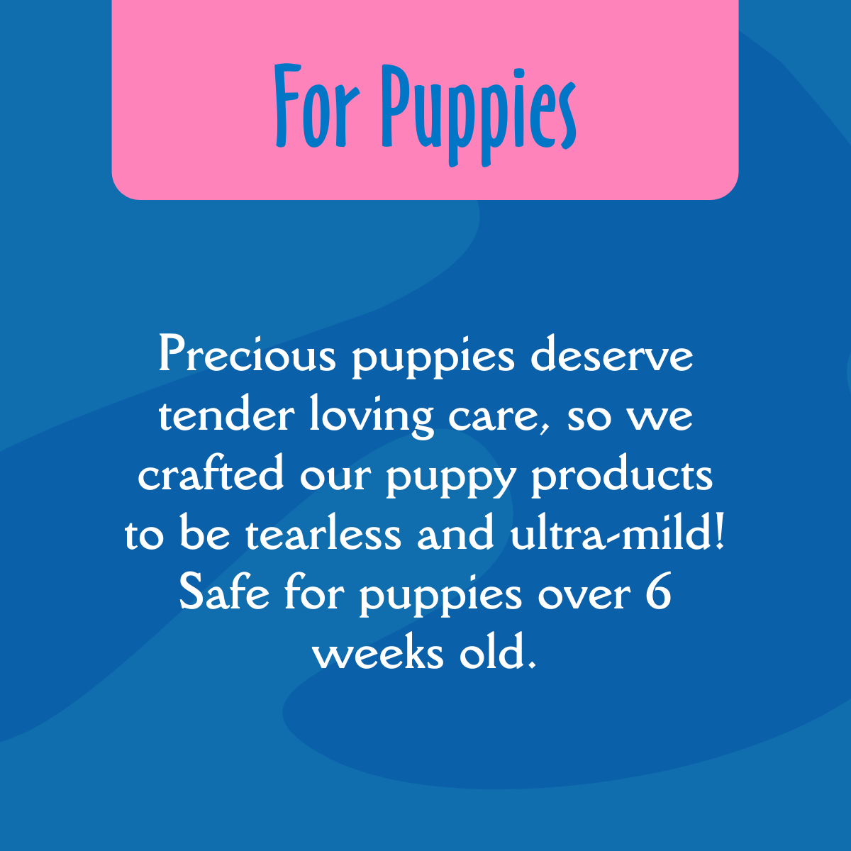 Ultra-Mild Puppy Grooming Set