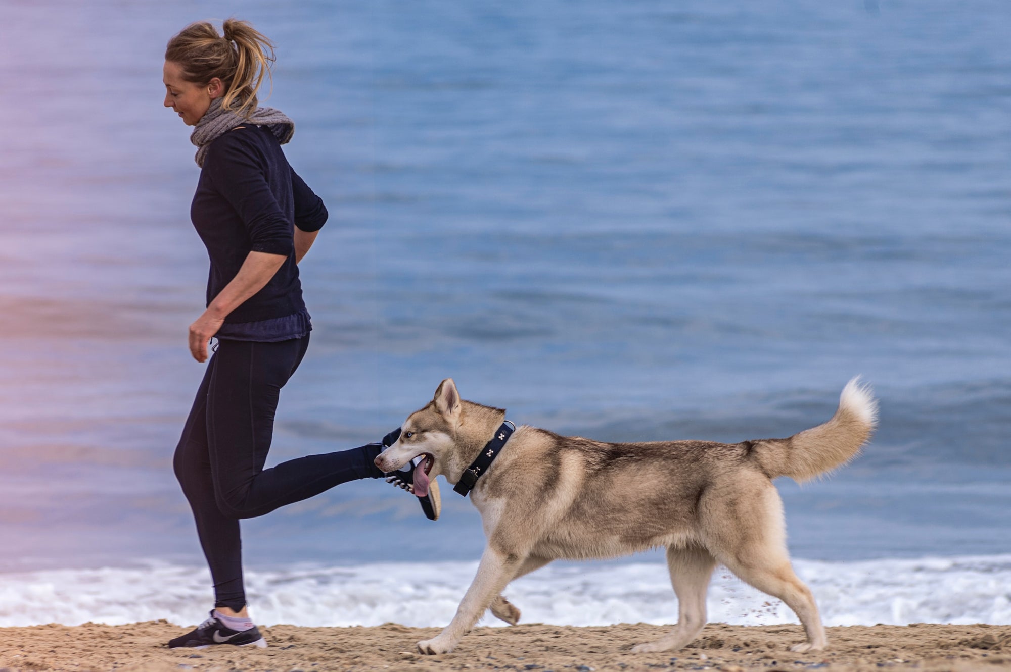 Exercising With Your Dog: An Easy Way to Keep Your Fitness Goals!