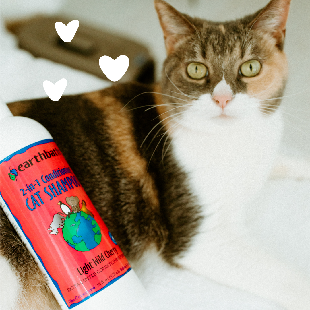 Earthbath Cat 2 in 1 Conditioning Shampoo 16oz