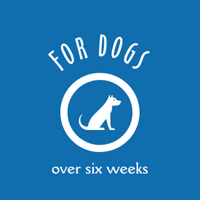 Head to Tail Set for Sensitive Dogs