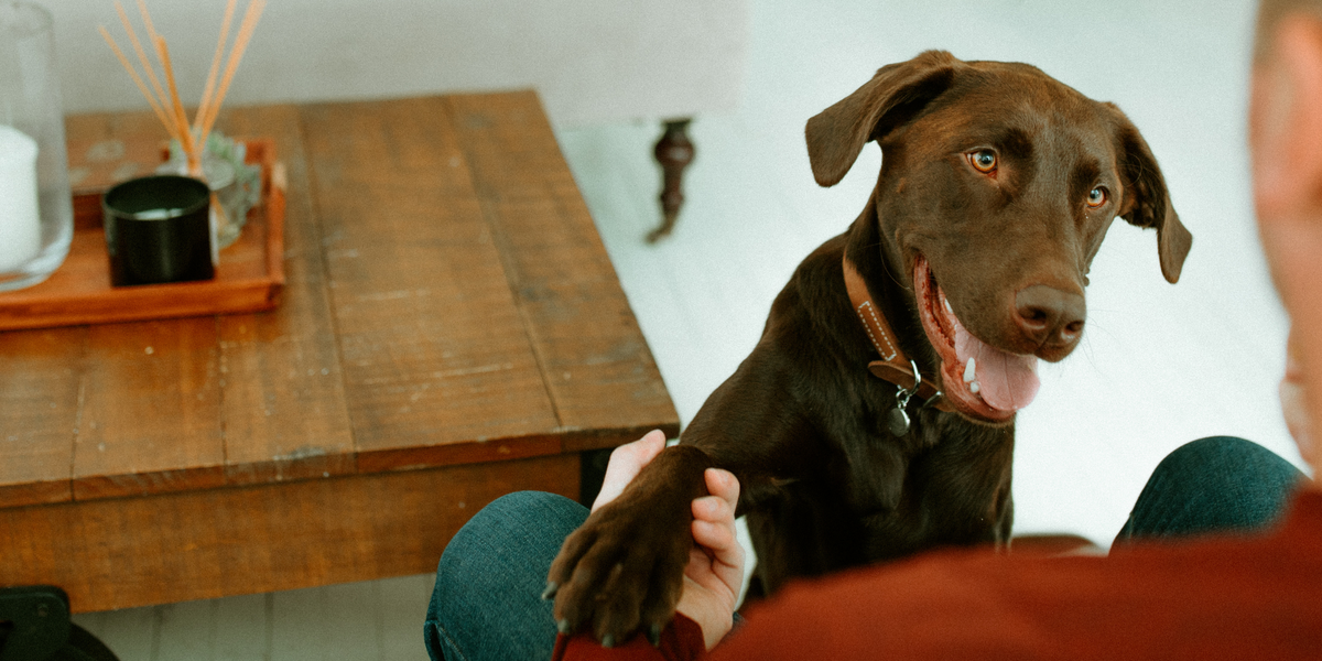 earthbath® Brand Ambassadors