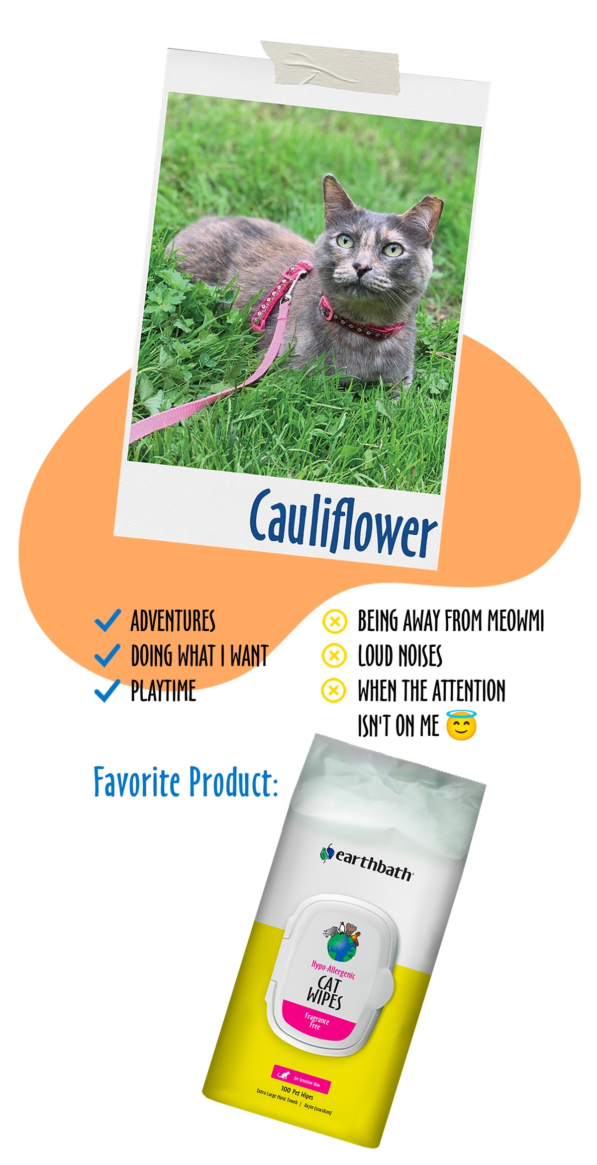 Cauliflower loves Hypoallergenic Cat Grooming Wipes