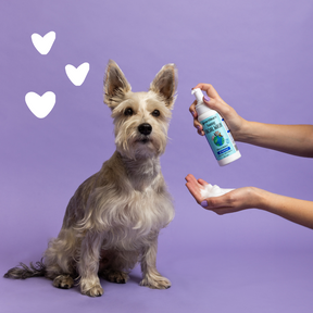 Foaming Facial Wash