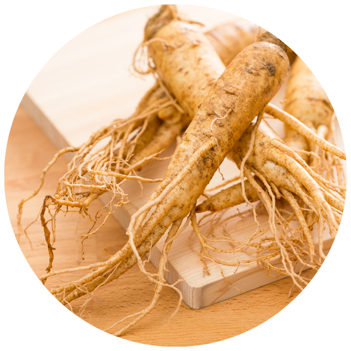 GINSENG