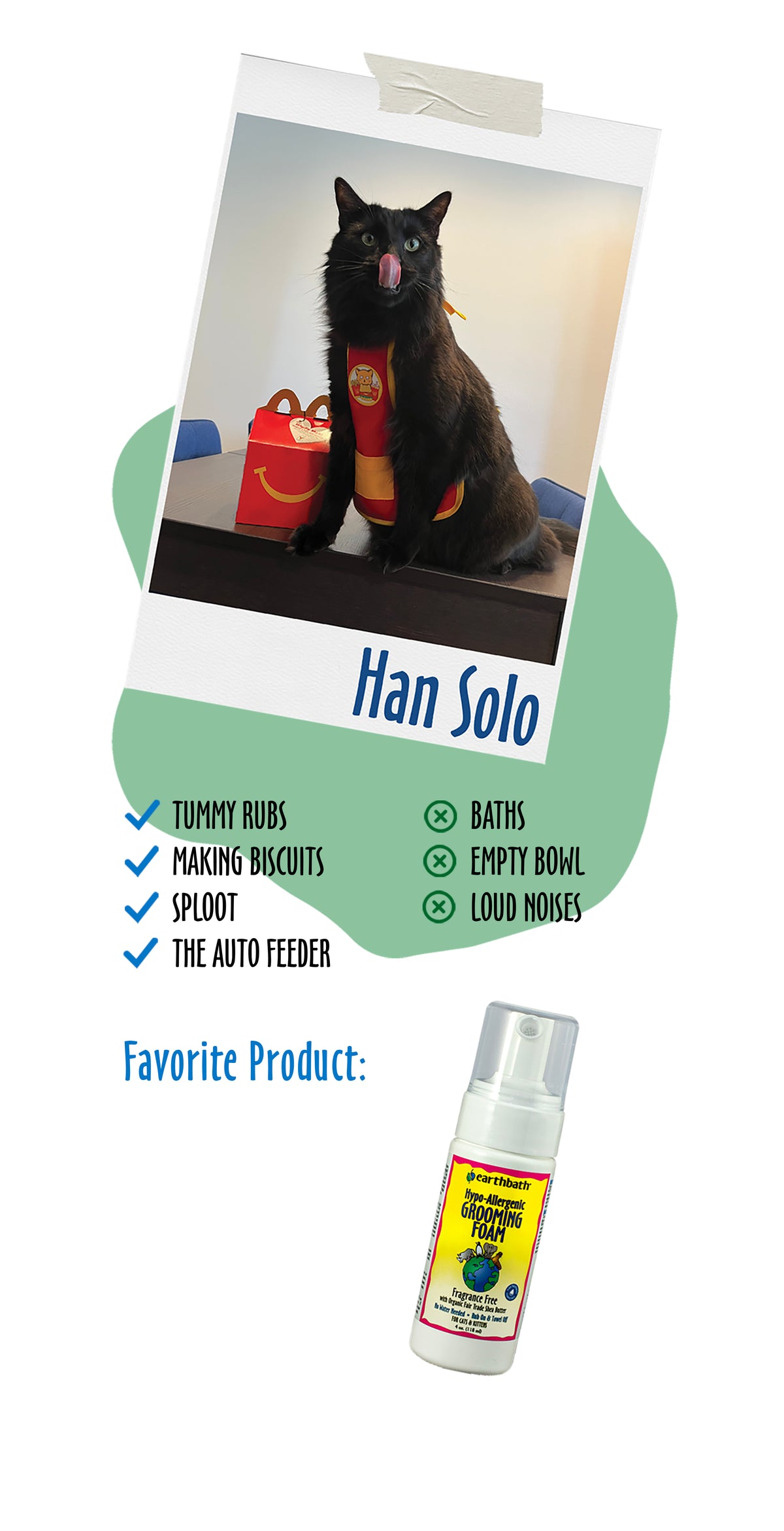 Han Solo loves Hypoallergenic Cat Grooming Foam
