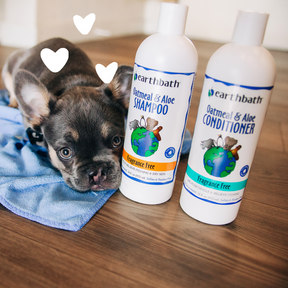 Oatmeal & Aloe Shampoo - Fragrance Free