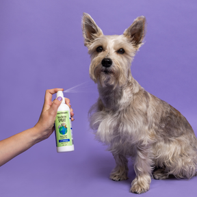 Hypoallergenic dog spray deals