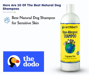 The Dodo : Best Natural Dog Shampoos : Hypoallergenic Shampoo