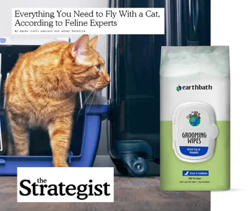 The Strategist : Everything you Need to Fly with a Cat : Grooming Wipes