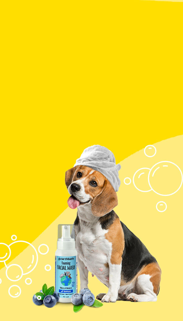 Earthbath dog sale