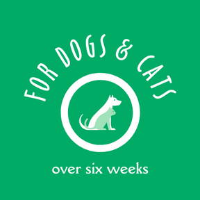 Tooth & Gum Wipes - COMING SOON!