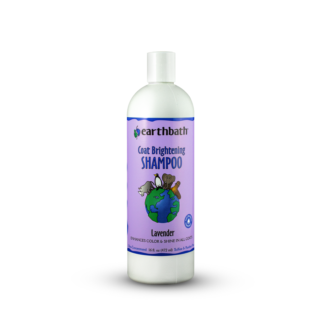 Nature's miracle whitening shampoo online