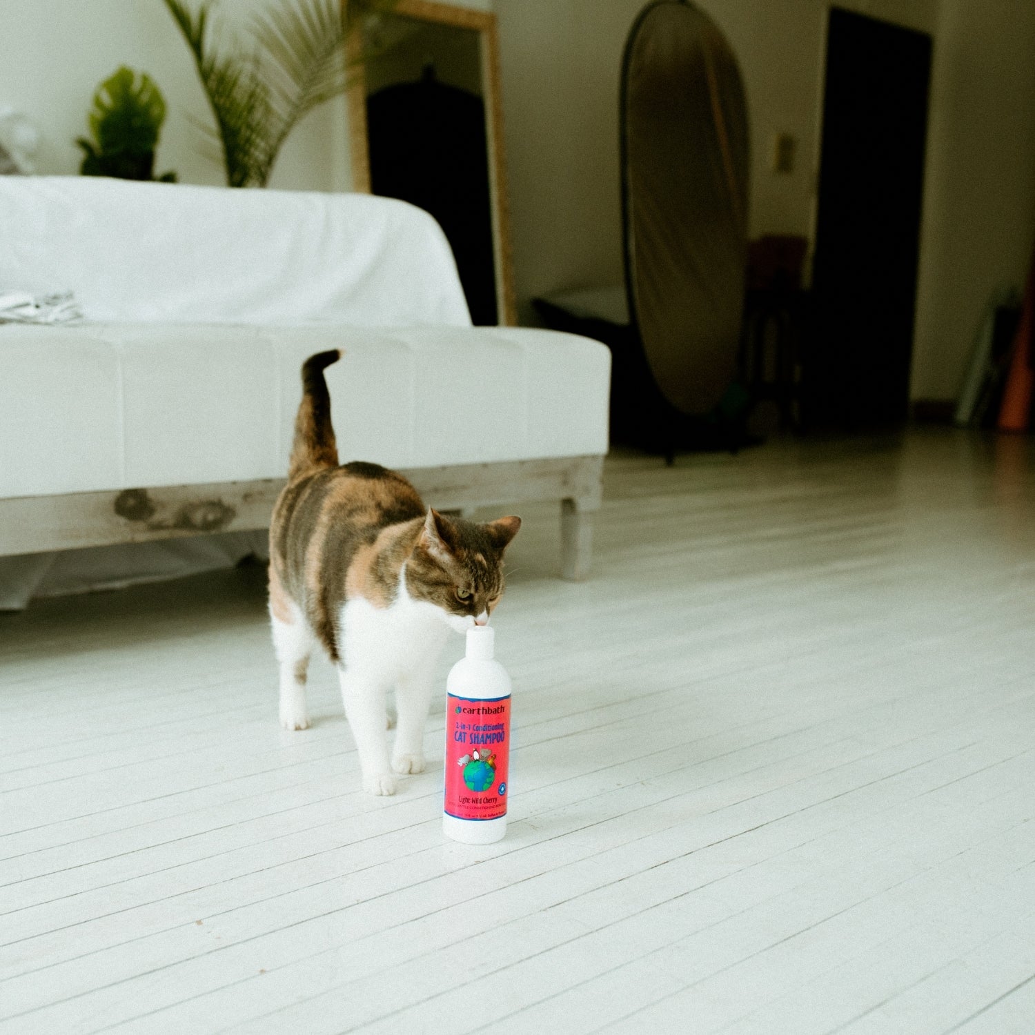 2-in-1 Conditioning Cat Shampoo